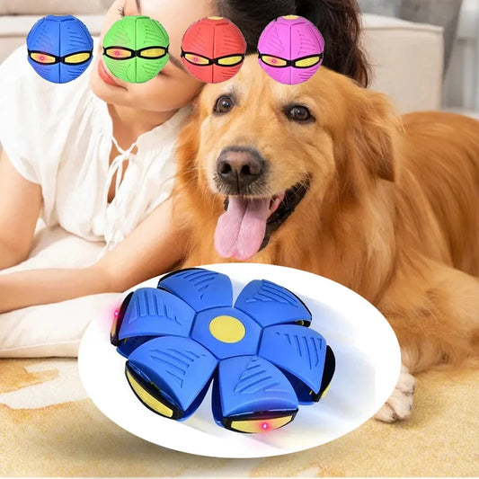 Fetch-O-Frisbee: Transforming Toy